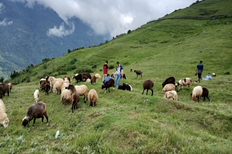 Chimteshwor